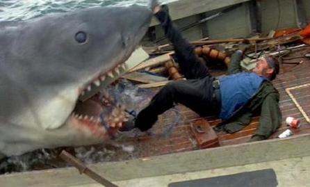 Jaws