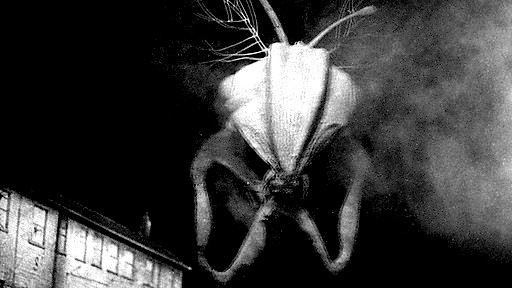 20. Ohhhh! You mean all those humans are for me.